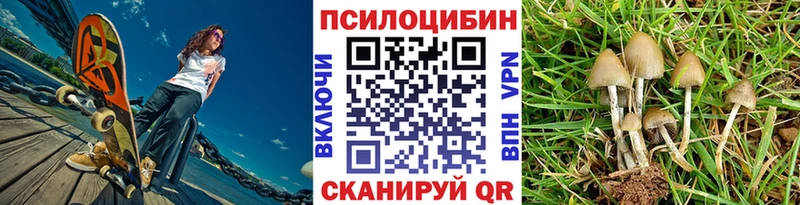 Купить Андреаполь Галлюциногенные грибы мухоморы